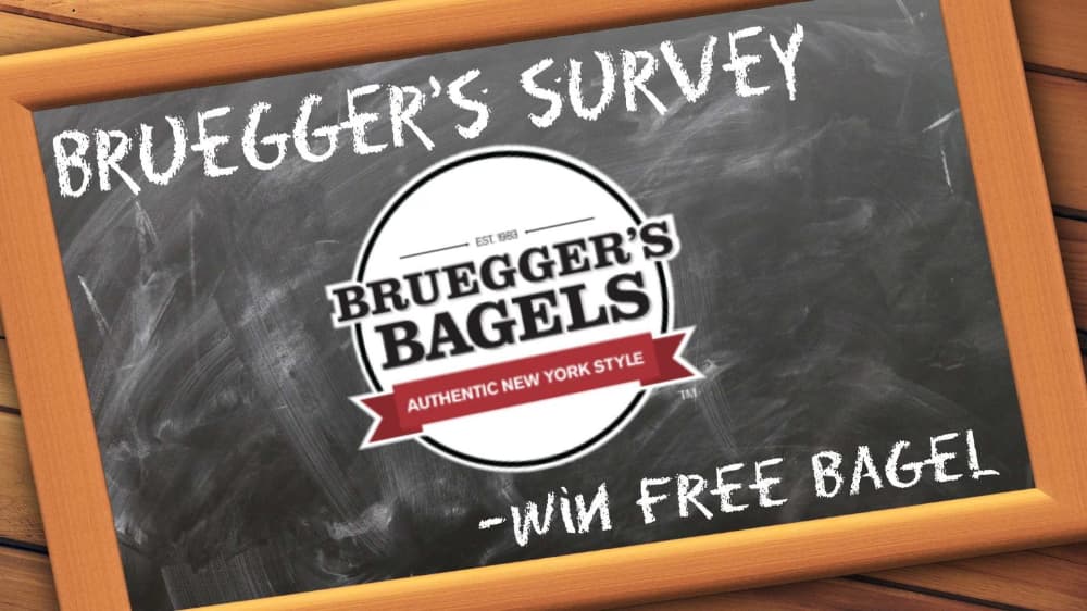 Brueggers Survey